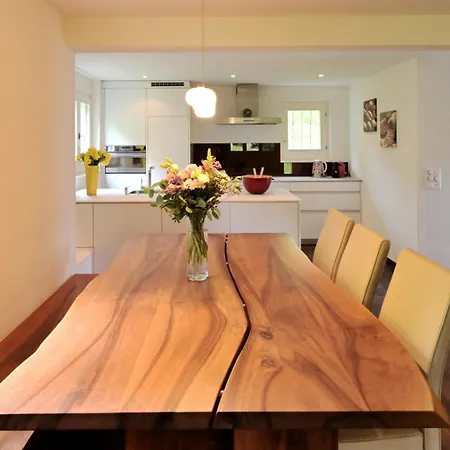 Hölzerhütte Daire Arosa